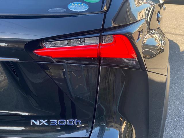 ＮＸ ＮＸ３００ｈ　プリクラッシュ　メーカーナビ　バックカメラ　ＥＴＣ　プッシュスタート　スマートキー　ＬＥＤヘッドライト　パワーシート　パワーバックドア　ステアリングリモコン　レーダークルーズコントロール　全国１年保証（14枚目）