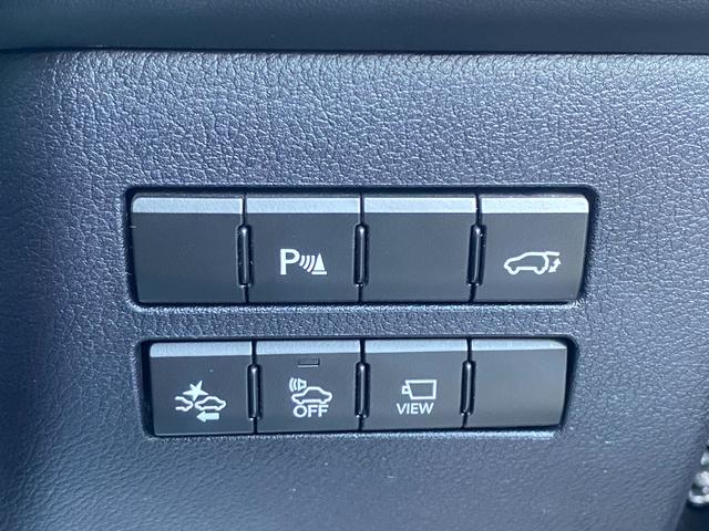 ＮＸ ＮＸ３００ｈ　プリクラッシュ　メーカーナビ　バックカメラ　ＥＴＣ　プッシュスタート　スマートキー　ＬＥＤヘッドライト　パワーシート　パワーバックドア　ステアリングリモコン　レーダークルーズコントロール　全国１年保証（36枚目）