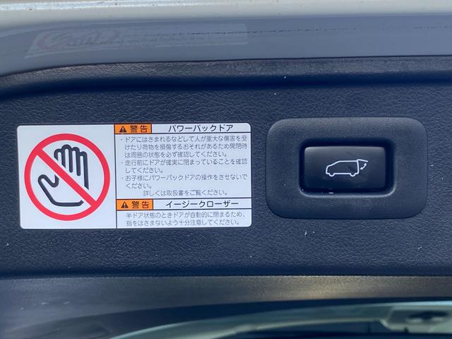 ヴェルファイア ２．５Ｚ　Ａエディション　ゴールデンアイズ　両側パワースライドドア　カロッツェリアナビ　フルセグ　フリップダウンモニター　バックカメラ　ＥＴＣ　クルーズコントロール　ＬＥＤヘッドライト　セーフティセンス　パワーバックドア　全国１年保証（22枚目）