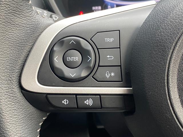 ライズ Ｚ　スマートアシスト　カロッツェリアナビ　バックカメラ　ＥＴＣ　プッシュスタート　スマートキー　ＬＥＤヘッドライト　全席シートヒーター　レンタカーアップ　全国１年保障（33枚目）