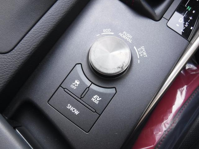 ＩＳ ３００ｈ　ＦスポーツＸライン　／ハイブリット／バックカメラ／ＥＴＣ／トムスマフラー／クルーズコントロール／シートヒーター／シートエアコン／シートメモリー／ルーフラッピング／ローダウン／パワーシート／（18枚目）