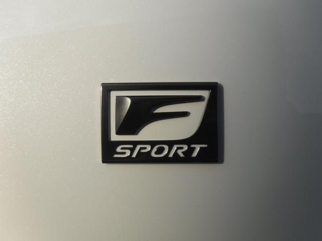 ＩＳ ３００ｈ　ＦスポーツＸライン　／ハイブリット／バックカメラ／ＥＴＣ／トムスマフラー／クルーズコントロール／シートヒーター／シートエアコン／シートメモリー／ルーフラッピング／ローダウン／パワーシート／（39枚目）