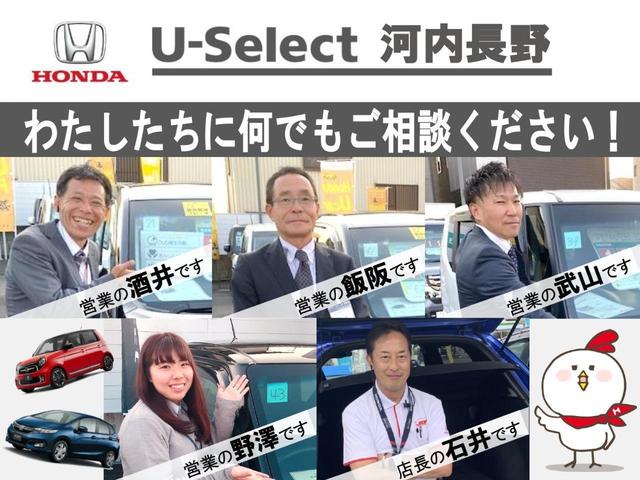 Lホンダセンシング 純正ナビ LEDヘッドライト ETC音声 アルミ ナビTV 衝突被害軽減B フルセグ LEDヘッド スマートキー ETC シートヒーター メモリーナビ クルコン リアカメラ アイドリングストップ CD(51枚目)