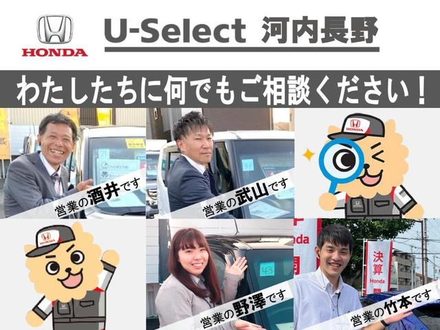2.0EX 元社用車 Fガラス新品 純正ナビ フルセグ Rカメラ ETC ドラレコ サンルーフ(43枚目)