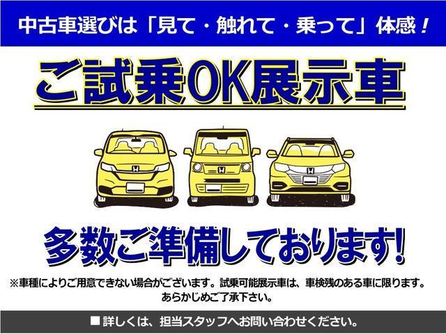 2.0EX 元社用車 Fガラス新品 純正ナビ フルセグ Rカメラ ETC ドラレコ サンルーフ(44枚目)