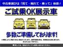 エアー　元試乗車　純正ナビ　フルセグ　Ｒカメラ　ドラレコ　ＥＴＣ　両側ＰＳＤ（50枚目）