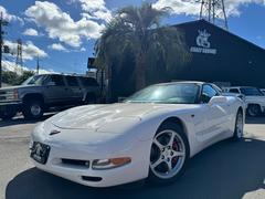 ܥ졼٥å ١졼ɡҳޥե顼ѥ˥ʥӡԣ֡ţԣ 0707011A30251027W001 3