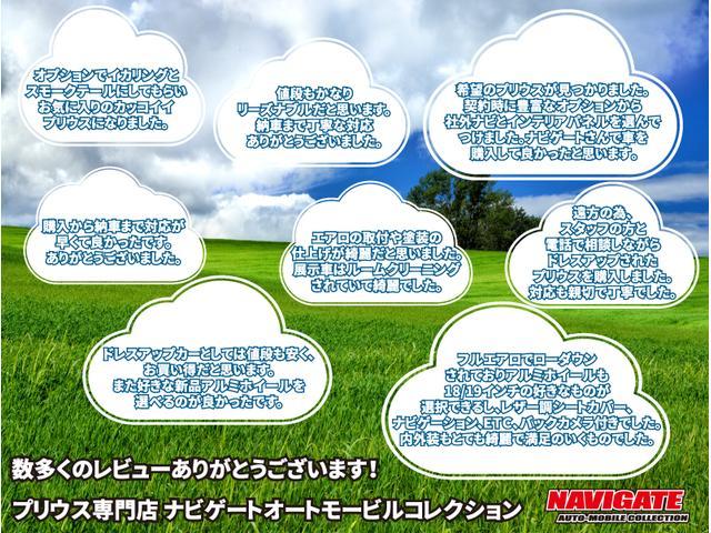S 2年保証 新品LMXチタンシルバー19インチAW 新品タイヤ レクサスTF埋込オリジナルリアバンパー ローダウン 地デジHDDナビ MSV バックカメラ ETC シートカバー フルエアロ フルカスタム(26枚目)