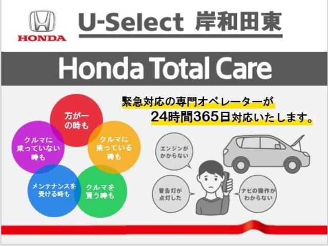 G・EX オーディオレス ETC LED 衝突軽減 ETC Rカメラ 両側電動ドア(68枚目)