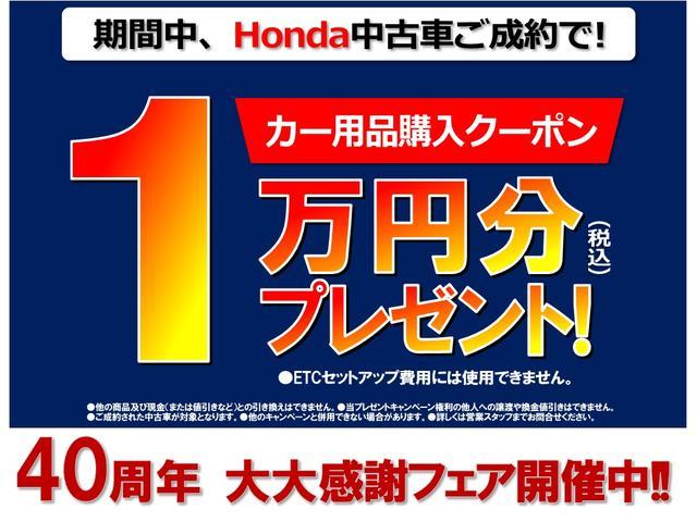 Ｎ－ＯＮＥ Ｇ・Ａパッケージ　純正ナビ　ワンセグ　Ｒカメラ　ＨＩＤ（34枚目）