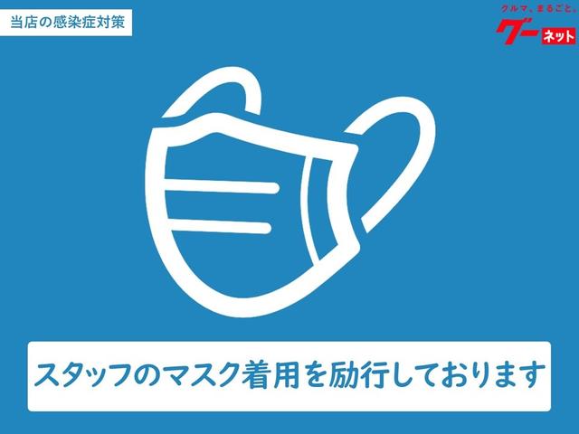 カスタムG-T 9インチ大画面ナビバックカメラETCマット付(24枚目)