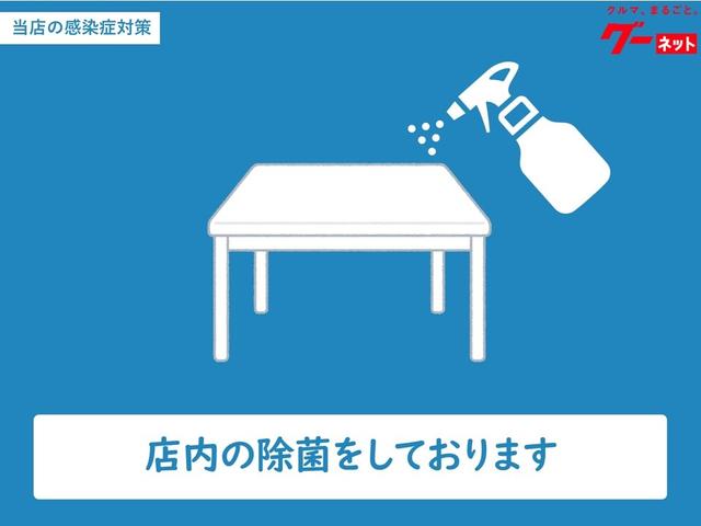 ジョインターボ4AT8型大画面ナビバックカメラETCマット付(23枚目)
