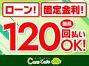 タフワイルド　－新車－２トーンカラー仕様車　８型大画面ナビ＆フルセグＴＶ＆ＡｐｐｌｅＣａｒＰｌａｙ／ＡｎｄｒｏｉｄＡｕｔｏ対応＆ＣＤ・ＤＶＤ・ＳＤ再生＆ＵＳＢ・Ｂｌｕｅｔｏｏｔｈ接続＆バックカメラ＆ＥＴＣ＆マット付（34枚目）