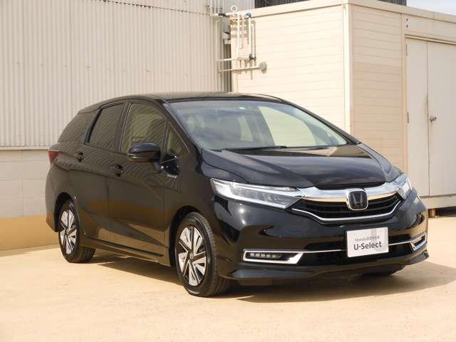 トリプロ / ターコイズ GT ESPELIR エスペリア ダウンサス 前後