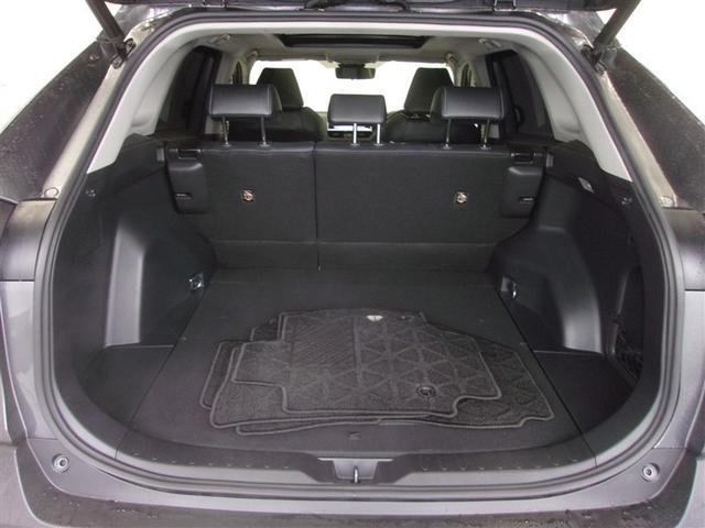 �J�����̍L�����Q�[�W�X�y�[�X�́A�傫�ȉו������N���N�ςݍ��߂܂��B