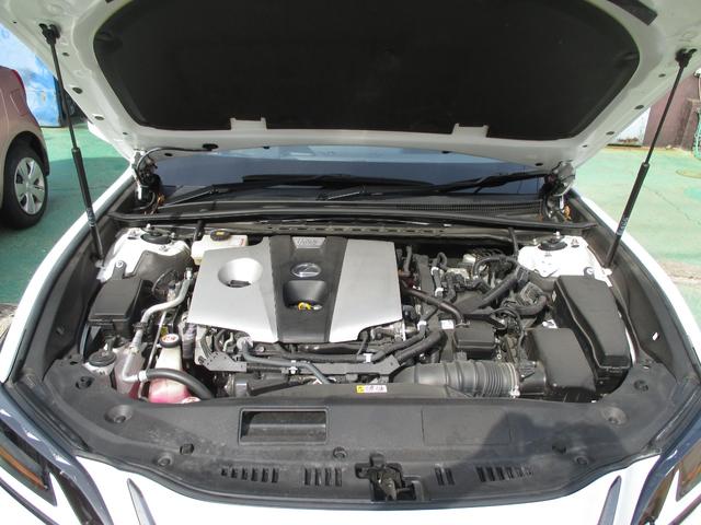 ES ES300h Fスポーツ(9枚目)