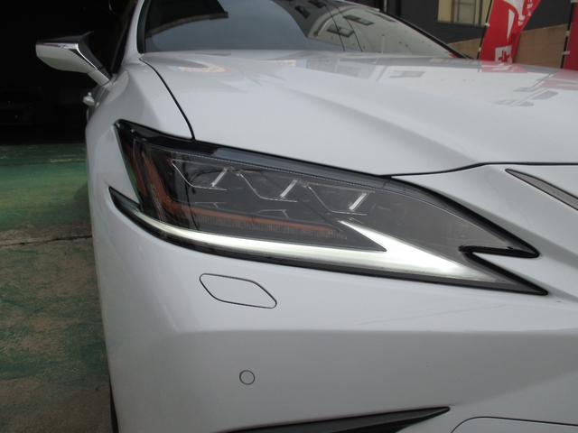 ES ES300h Fスポーツ(10枚目)