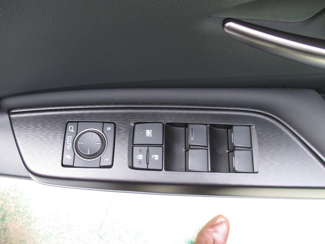 ES ES300h Fスポーツ(33枚目)