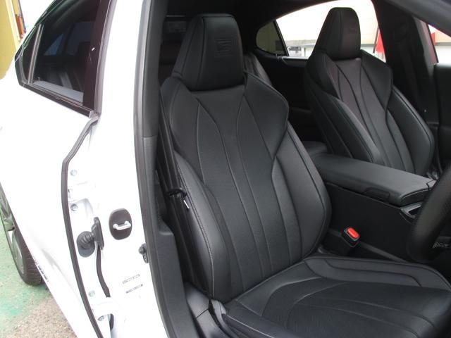 ES ES300h Fスポーツ(37枚目)