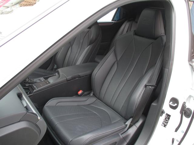 ES ES300h Fスポーツ(41枚目)