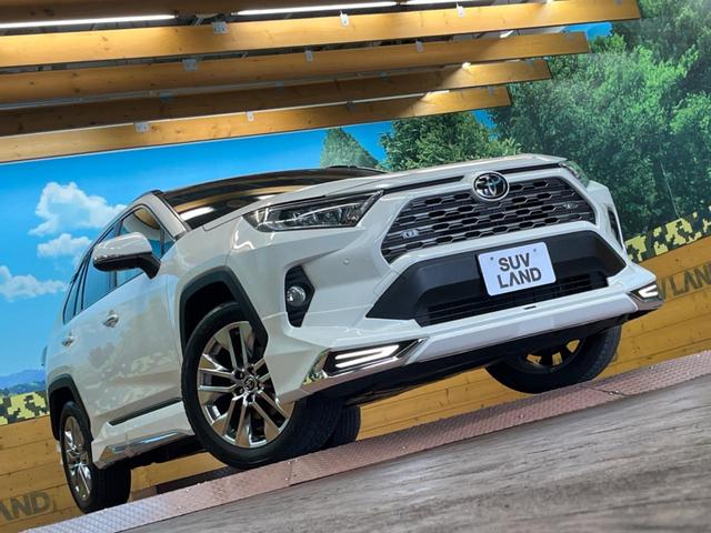 ＲＡＶ４ Ｇ　Ｚパッケージ　パノラマムーンルーフ　モデリスタエアロ　９型ナビ　禁煙車　衝突軽減装置　レーダークルーズ　デジタルインナーミラー　バックカメラ　ＥＴＣ　フルセグ　パワーバックドア　シートヒーター　合皮レザーシート（16枚目）