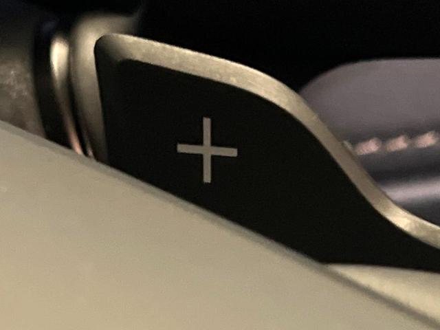 アルファードハイブリッド Z 純正14インチディスプレイオーディオ フリップダウンモニター 全周囲カメラ 左右独立ムーンルーフ ブラインドスポットモニター 両側電動スライド デジタルインナーミラー レーダークルーズ 禁煙車(45枚目)