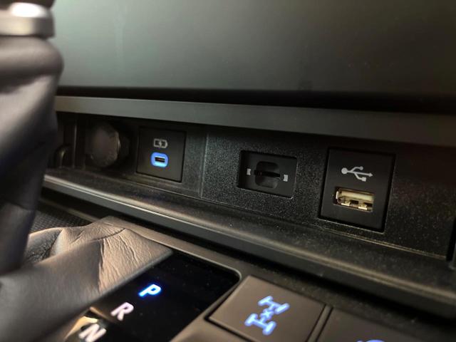 ランドクルーザー ZX 12.3型ナビ JBLサウンドシステム リアエンターテイメントシステム モデリスタエアロ ルーフレール ブラックレザーシート サンルーフ マルチテレンモニター シートベンチレーション 禁煙車(40枚目)