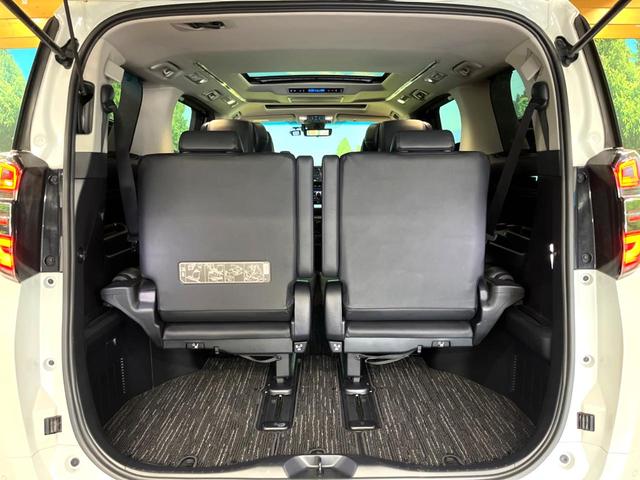 ヴェルファイア 2.5Z Gエディション 純正10型ナビ サンルーフ フリップダウンモニター 両側パワースライドドア 三眼LEDヘッドライト デジタルインナーミラー 黒革シート レーダークルーズコントロール シートベンチレーション 禁煙車(31枚目)