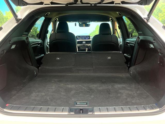 ＲＸ ＲＸ４５０ｈ　Ｆスポーツ　メーカー純正ナビ　レーダークルーズコントロール　全周囲カメラ　ヘッドアップディスプレイ　ＥＴＣ２．０　三眼ＬＥＤヘッド　シートベンチレーション　ステアリングヒーター　パドルシフト　パワーバックドア（10枚目）