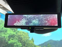 �ڥ���ƥꥸ����ȥ롼��ߥ顼�۸��ʤ��礭�ʲ�ʪ��Ʊ��ԤǸ�������ǧ���Ť餤���Ǥ�¿�������餬���Ƥ�����ξ�����α�����롼��ߥ顼���ɽ�������ꥢ�ʻ볦�Ǿ����γ�ǧ����ǽ�Ǥ��� 7