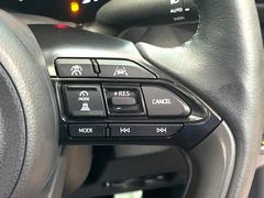 �ڥ졼�������롼������ȥ�����۹�®ƻϩ�Ǥ�Ĺ��Υ���Ԥ��ڤˡ�����ư��®�٤��ݤĥ��롼������ȥ����뤬�����ͷڸ������ƥ��Ϣ�Ȥ��������μ�ξ���Τ��Ƽִ֤��ݤĤ褦��®��Ĵ�ᤷ�Ƥ���ޤ����� 5