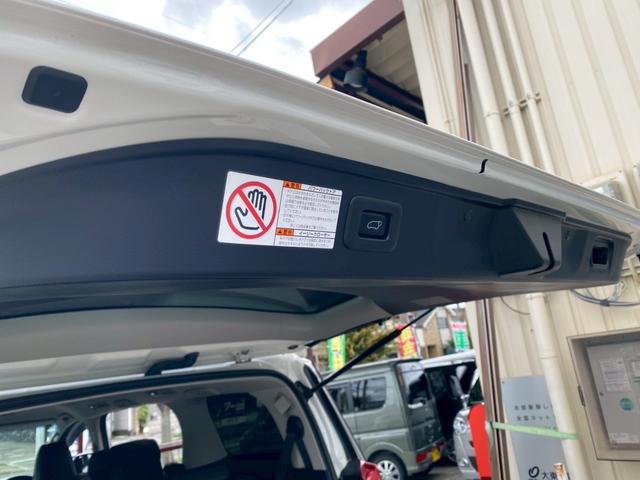 アルファード 2.5S Cパッケージ ユーザー買取車 三眼LEDヘッド アルパイン11インチビックX フリップダウンモニター F・S・Bカメラ ETC 両側パワスラ Pテールゲート 社外レーダー探知機 M付パワーシート 純正フロアマット(66枚目)