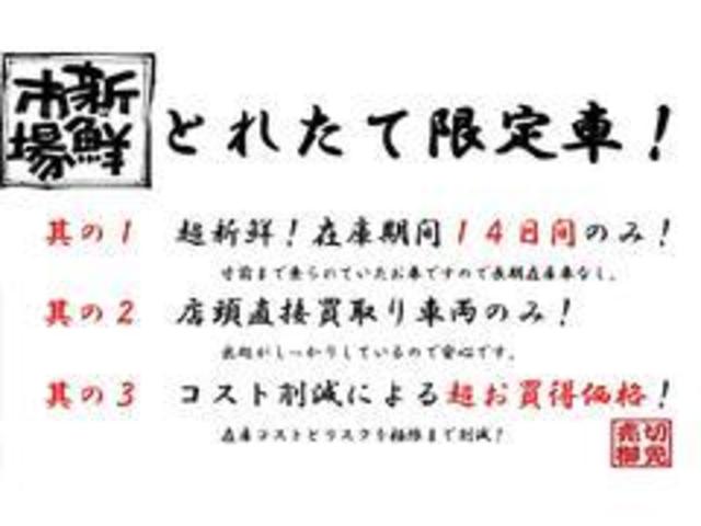 Ｇ　１４日間限定販売車　走行３００００ｋｍ　車検令和７年４月　ナビ　フルセグＴＶ　バックモニター　プッシュスタート(15枚目)