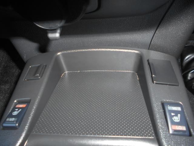 X サンクスエディション 30kwh 12セグ(12枚目)
