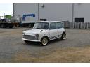 ROVER MINI