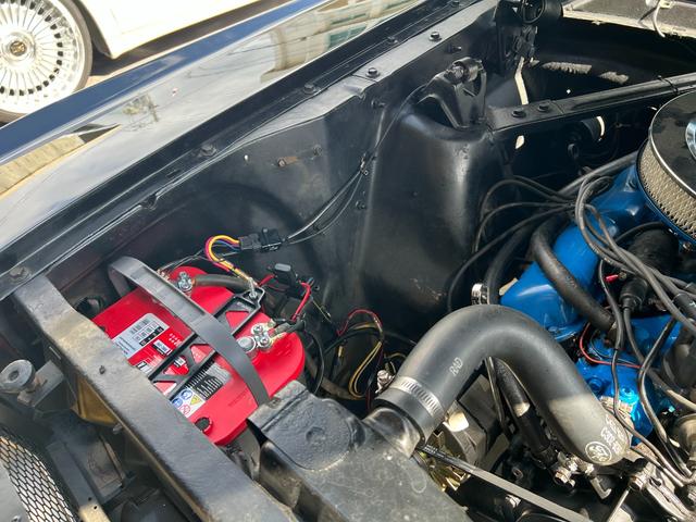 マスタング （64枚目）