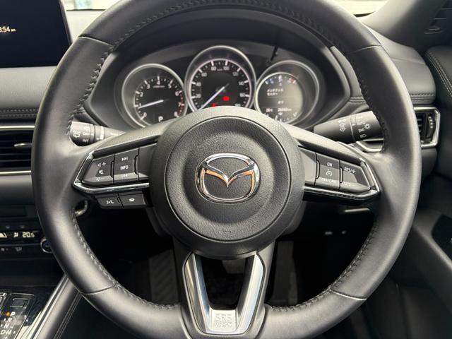 ＣＸ－８ ２５Ｓ　・１０．２５インチセンターディスプレイ・地上デジタルＴＶチューナー（フルセグ）・ＥＴＣ・ドライブレコーダー（9枚目）