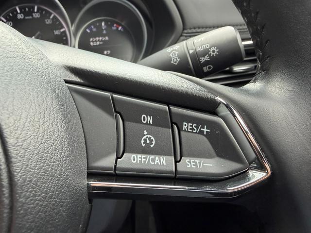 ＣＸ－８ ２５Ｓ　・１０．２５インチセンターディスプレイ・地上デジタルＴＶチューナー（フルセグ）・ＥＴＣ・ドライブレコーダー（19枚目）