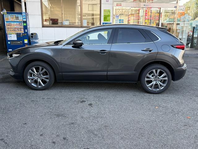 CX-30 20S ツーリング デモカー並行販売 ナビSd 360度モニター 安全装備 ブラインドスポットモニター 電動リアゲート(10枚目)