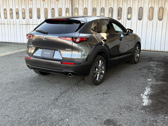 CX-30 20S ツーリング デモカー並行販売 ナビSd 360度モニター 安全装備 ブラインドスポットモニター 電動リアゲート(11枚目)