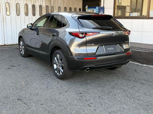 CX-30 20S ツーリング デモカー並行販売 ナビSd 360度モニター 安全装備 ブラインドスポットモニター 電動リアゲート(13枚目)