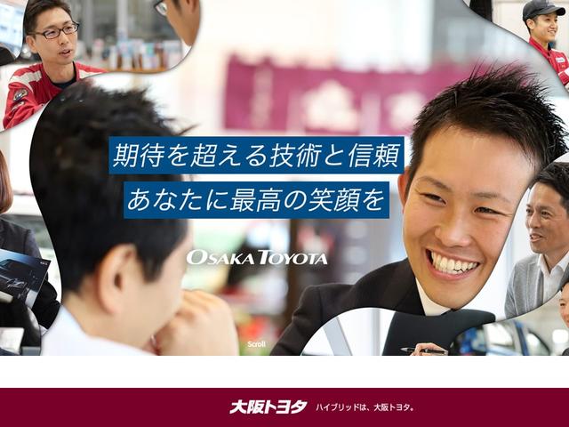 アエラス プレミアム フルセグ DVD再生 後席モニター バックカメラ 衝突被害軽減システム ETC 両側電動スライド LEDヘッドランプ ウオークスルー 乗車定員7人 3列シート(47枚目)