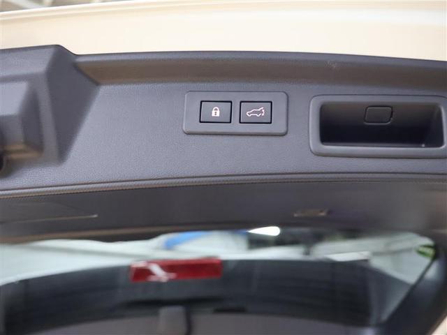 フォレスター アドバンス　革シート　４ＷＤ　フルセグ　メモリーナビ　ＤＶＤ再生　バックカメラ　衝突被害軽減システム　ＥＴＣ　ドラレコ　ＬＥＤヘッドランプ　ワンオーナー　シートヒーター（31枚目）