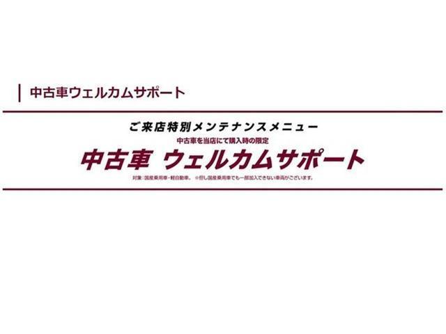 アクア G ワンセグ メモリーナビ バックカメラ 衝突被害軽減システム ETC ワンオーナー(44枚目)