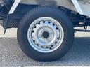 TOYOTA PIXIS TRUCK