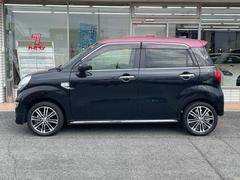 ˤ߸ˤŹŰŪ⳰꡼˥󥰤ܤƤޤΤǡ⳰Ǥ 5