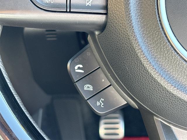 スイフトスポーツ ベースグレード　クリアランスソナー　オートクルーズコントロール　レーンアシスト　衝突被害軽減システム　アルミホイール　オートライト　ＬＥＤヘッドランプ　スマートキー　電動格納ミラー　シートヒーター（41枚目）