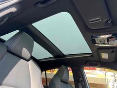 ������١��¼֤�������������� 6