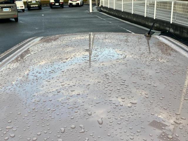 ムーヴキャンバス Ｇ　ＳＡ２　保証書／純正　８インチ　ＳＤナビ／衝突安全装置／両側電動スライドドア／パノラマモニター／車線逸脱防止支援システム／パーキングアシスト　バックガイド／ヘッドランプ　ＬＥＤ　衝突被害軽減システム　禁煙車（46枚目）