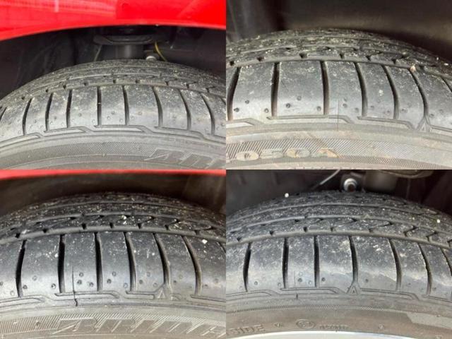 �u���̎Ԃ̎ʐ^�������ƌ������v�u��Ԃ��C�ɂȂ�v�u���̑����͂��Ă���H�v�ǂ�ȏ����ȋ^��ł����C�y�ɂ��₢���킹���������I